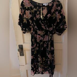 Velvet Burnout Floral Black Dress